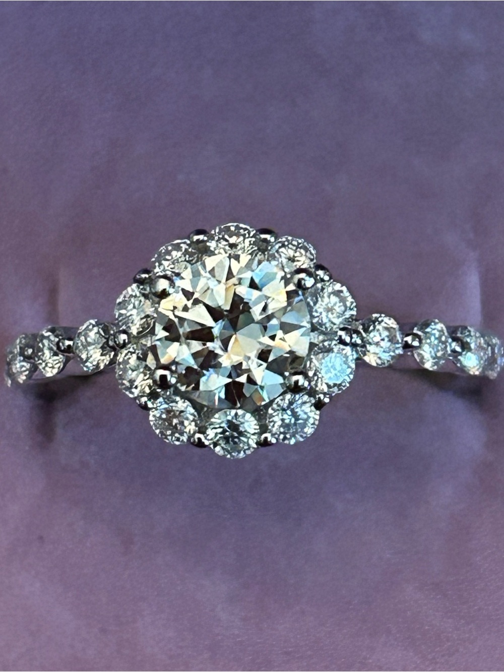 2.00CTW Round Genuine Moissanite 💎 Halo Ring - 925 Sterling Silver Size 8